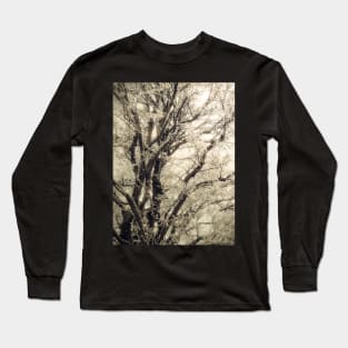 Frosted Tree Long Sleeve T-Shirt